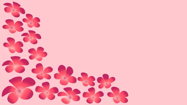 ピンクの背景に孤立した美しい桜 — ストック写真