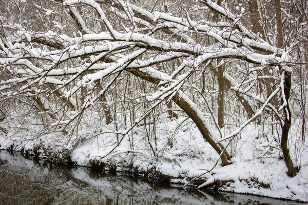 Uma Bela Paisagem Inverno East Don Park Toronto Canadá — Fotografia de Stock