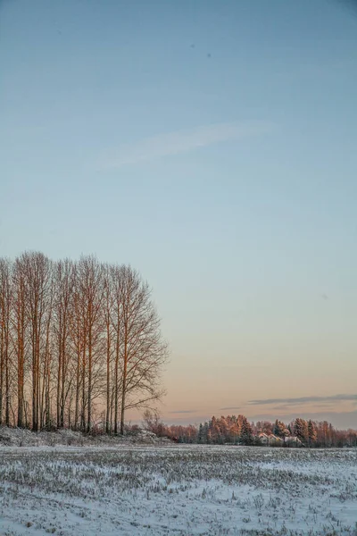 Вертикальний Знімок Красивих Пейзажів Вкритих Снігом Під Чистим Небом — стокове фото