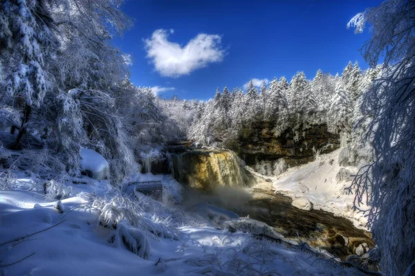 Hermoso Paisaje Blackwater Falls Rodeado Árboles Cubiertos Nieve — Foto de Stock