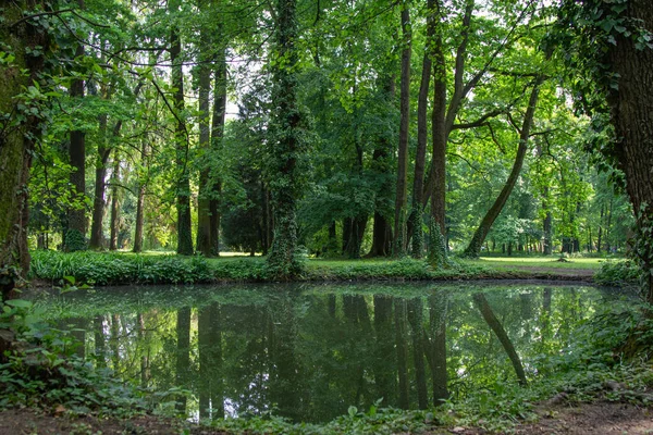 Parque Com Árvores Lago Primavera — Fotografia de Stock