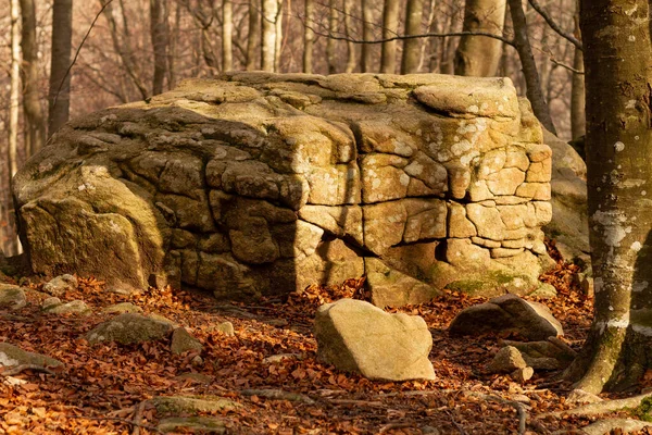 Zbliżenie Starych Formacji Skalnych Lesie Pokrytym Suszonymi Liśćmi Autum — Zdjęcie stockowe