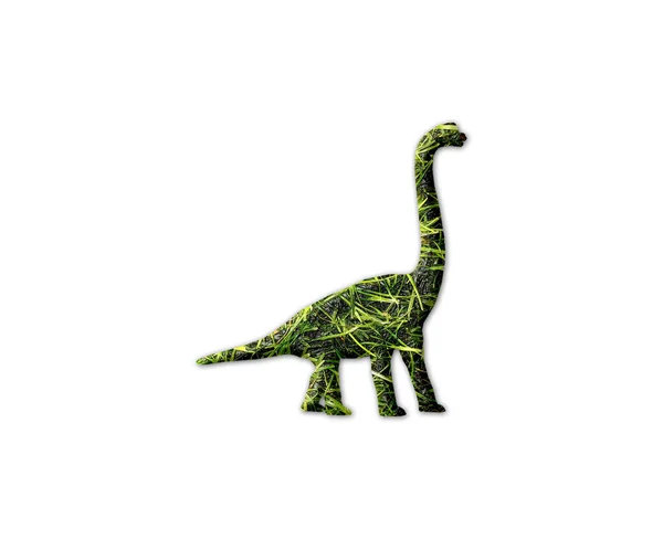 Pequeno Dinossauro Com Uma Impressão Grama Isolada Fundo Branco — Fotografia de Stock