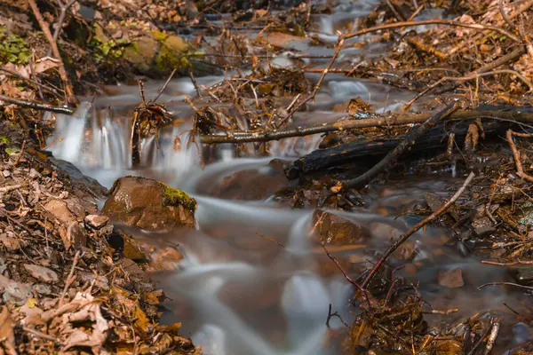 Небольшой Ручей Лесу Окруженный Опавшими Осенними Листьями — стоковое фото