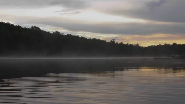 Schilderachtig Uitzicht Meer Omgeven Door Bos Bij Zonsopgang — Stockvideo