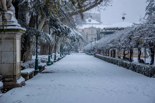 Uma Vista Panorâmica Parque Coberto Neve Branca Durante Inverno — Fotografia de Stock