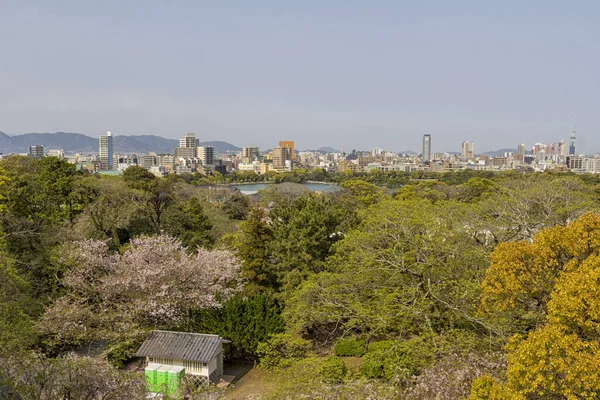 Widok Miasto Fukuoka Kolorowe Wierzchołki Drzew Wiosnę Zamku Fukuoka Parku — Zdjęcie stockowe