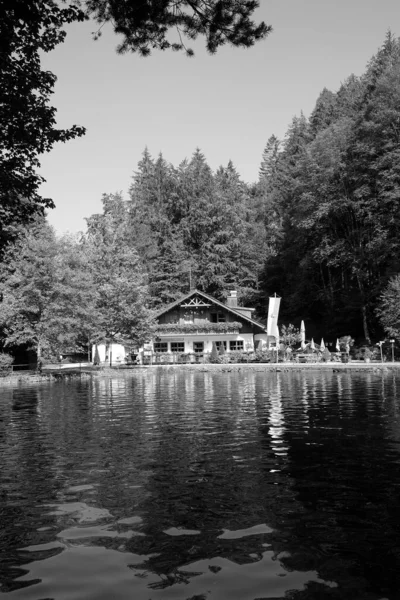 Plan Vertical Une Belle Maison Près Eau — Photo