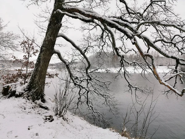 Чудовий Зимовий Краєвид Сніжними Деревами Чиста Річка Ларвіку Норвегія — стокове фото