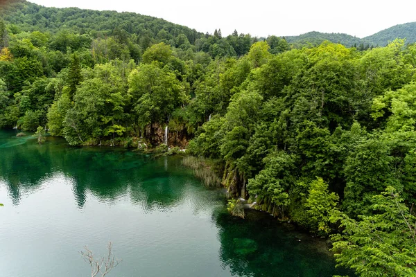 Piękny Widok Jeziora Plitwickie Chorwacja — Zdjęcie stockowe