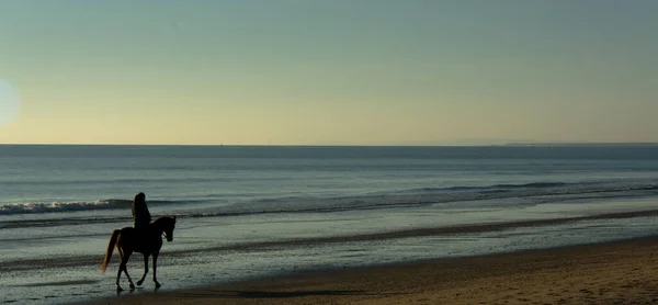 해변으로 암컷의 파노라마 — 스톡 사진