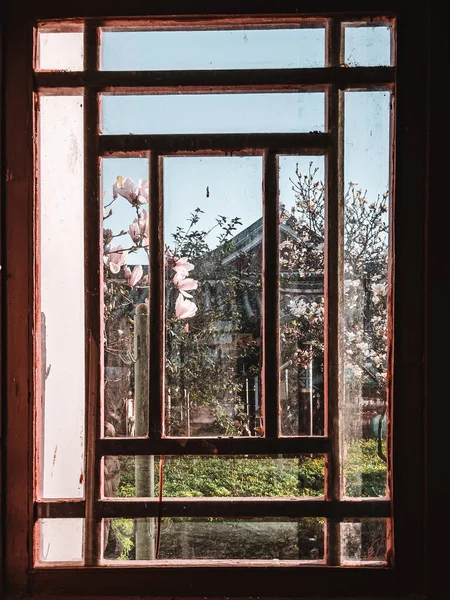 Uma Bela Vista Flores Cereja Perto Pagode China Visto Através — Fotografia de Stock