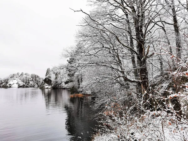 Uma Bela Paisagem Inverno Com Árvores Nevadas Rio Claro Com — Fotografia de Stock