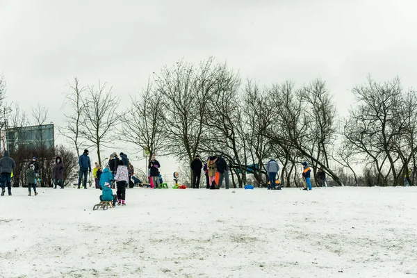 Poznan Polonia Enero 2021 Adultos Niños Divierten Con Trineos Nieve — Foto de Stock