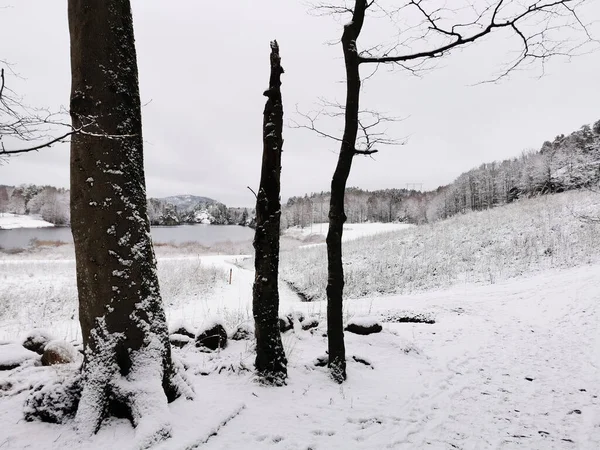 Een Prachtig Winterlandschap Met Landelijke Weg Bedekt Met Sneeuw Larvik — Stockfoto