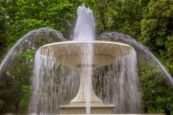 Plan Rapproché Une Fontaine Dans Parc Varsovie Pologne — Photo