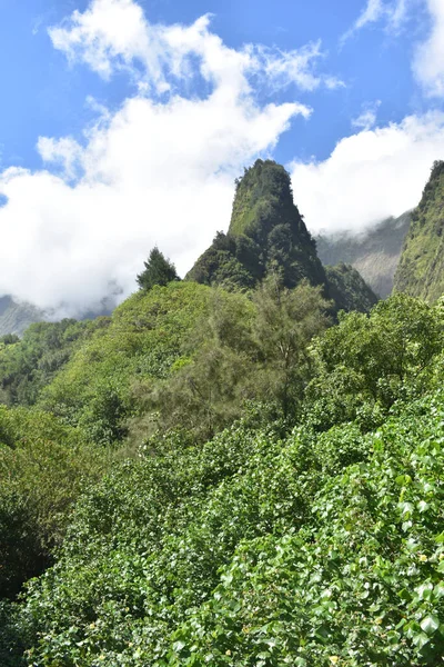 Vue Verticale Une Montagne Avec Nuages Sur Île Maui Hawaï — Photo