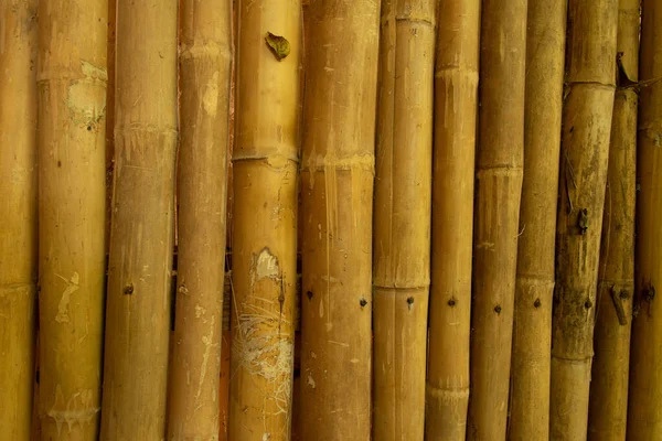 Una Struttura Sfondo Recinto Bambù — Foto Stock