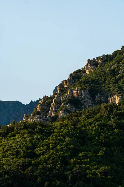 Eine Vertikale Aufnahme Eines Felsigen Berges Der Mit Grünem Wald — Stockfoto