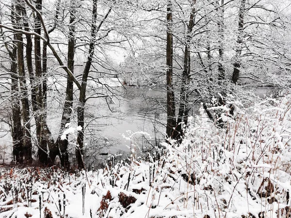 Uma Bela Paisagem Inverno Com Árvores Nevadas Claro Rio Reflexão — Fotografia de Stock