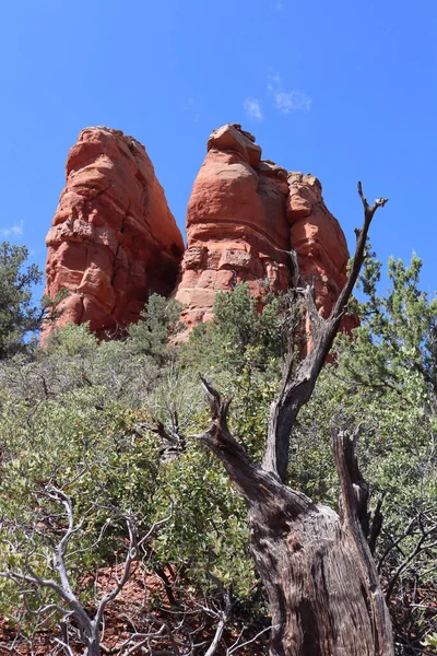 Eine Vertikale Aufnahme Des Chimney Rock Mit Einem Abgestorbenen Baum — Stockfoto