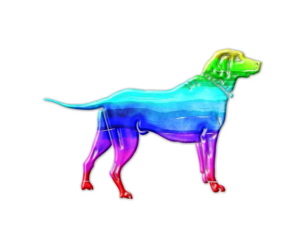 Een Geïsoleerde Illustratie Van Een Regenboog Gekleurde Hond Een Witte — Stockfoto
