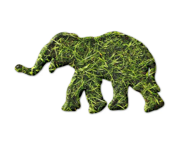 Une Forme Éléphant Avec Texture Herbe Isolée Sur Fond Blanc — Photo