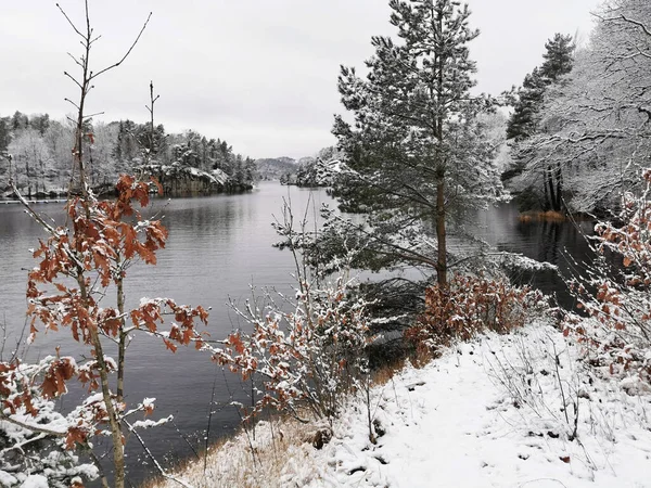 Krásná Zimní Krajina Zasněženými Stromy Průzračná Řeka Odleskem Larviku Norsko — Stock fotografie