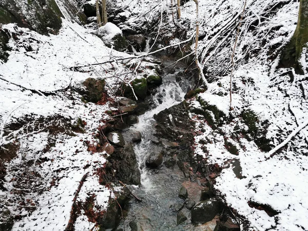 Bela Paisagem Uma Floresta Com Córrego Inverno Larvik Noruega — Fotografia de Stock