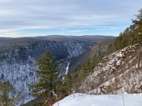 Piękny Widok Górę Drzewa Pokryte Śniegiem Chłodny Zimowy Dzień — Zdjęcie stockowe