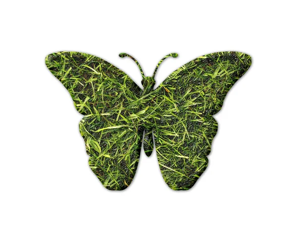 Beyaz Arka Planda Izole Edilmiş Çimen Desenli Bir Kelebek — Stok fotoğraf
