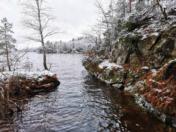 Piękna Sceneria Lasu Potokiem Zimą Larvik Norwegia — Zdjęcie stockowe