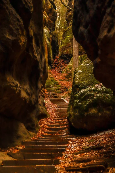 Een Verticale Opname Van Trap Tussen Enorme Rotsen Het Bos — Stockfoto