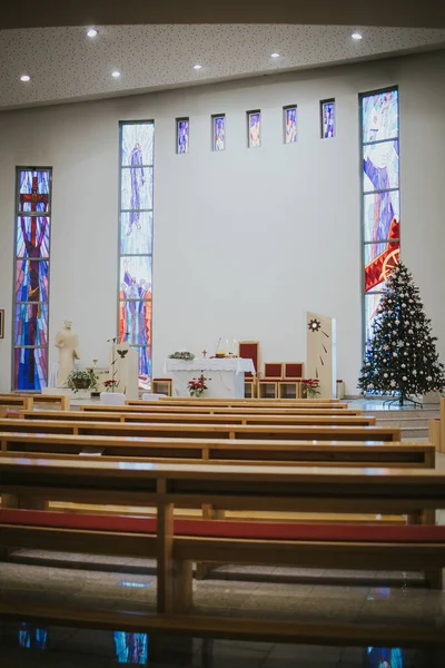 Μια Κάθετη Λήψη Των Παγκάκια Στον Καθεδρικό Ναό Χριστούγεννα — Φωτογραφία Αρχείου
