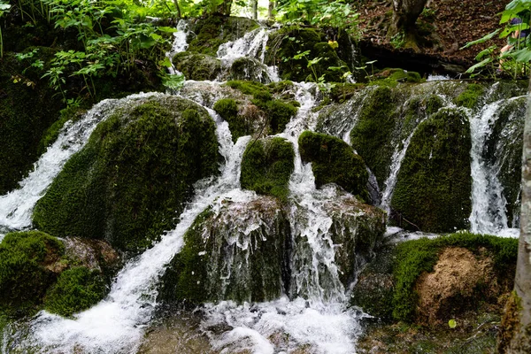 Una Hermosa Toma Los Lagos Plitvice Croacia — Foto de Stock