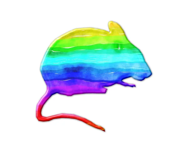 在白色背景上的彩虹色啮齿动物的一个孤立的例子 — 图库照片