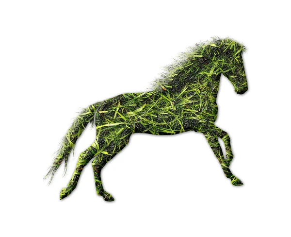 Une Forme Cheval Avec Texture Herbe Isolée Sur Fond Blanc — Photo