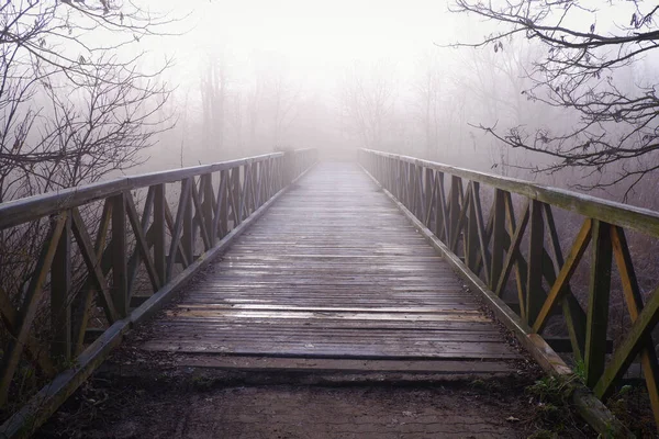 Beautiful View Old Wooden Bridge Misty Weather — Stock Photo, Image