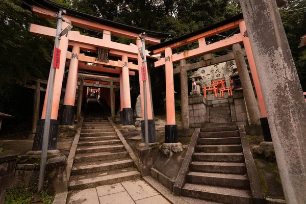 Beau Cliché Sanctuaire Torii Gates Fushimi Inari Kyoto Japon — Photo