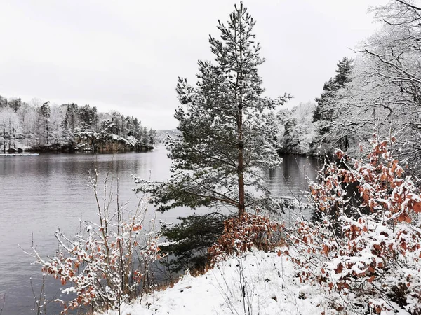 Bellissimo Paesaggio Invernale Con Alberi Innevati Fiume Limpido Con Riflesso — Foto Stock