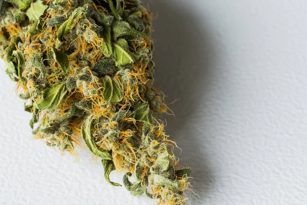 Beyaz Bir Yüzey Üzerinde Kurumuş Tıbbi Marihuana — Stok fotoğraf