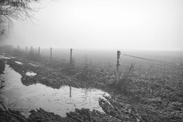 Graustufenaufnahme Eines Feldes Mit Zaun Einem Düsteren Tag — Stockfoto