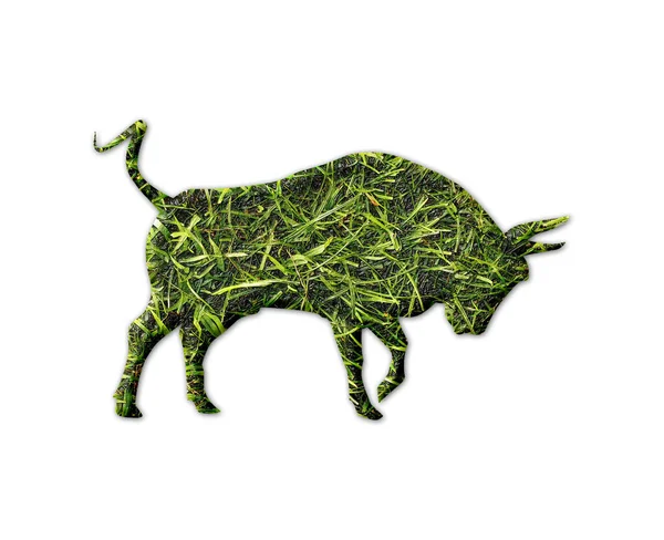 Bull Shape Grass Texture Isolated White Background — Stock Photo, Image