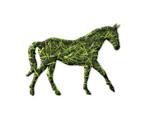 Uma Forma Cavalo Com Textura Grama Isolada Fundo Branco — Fotografia de Stock