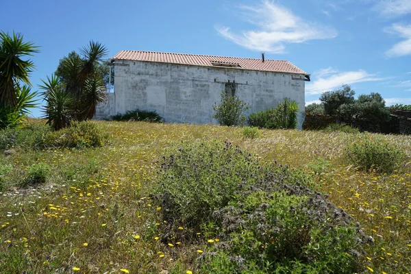 Disparo Edificio Abandonado Portugal Con Plantas Secas Primer Plano —  Fotos de Stock