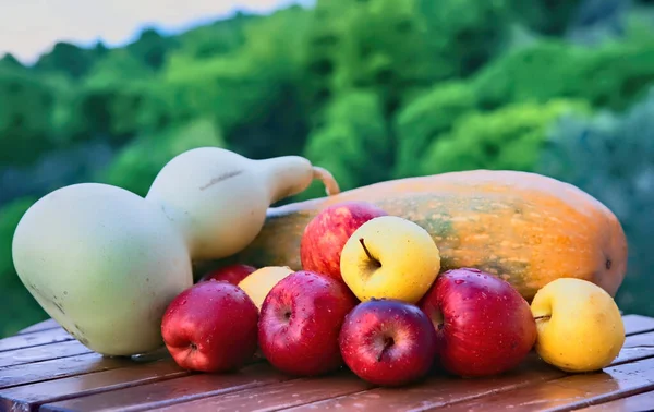 Ein Blick Auf Kürbis Rote Und Gelbe Äpfel Mit Wassertropfen — Stockfoto