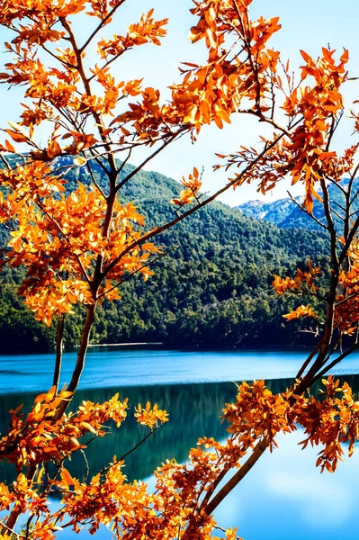 川岸には朱色の木の葉が垂直に描かれている — ストック写真