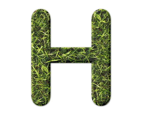 字母H与草的纹理隔离在白色的背景上 — 图库照片