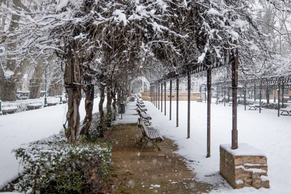 Uma Vista Panorâmica Parque Coberto Neve Branca Durante Inverno — Fotografia de Stock