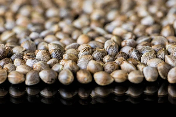 Heap Hemp Seeds Black Surface — Stock Photo, Image